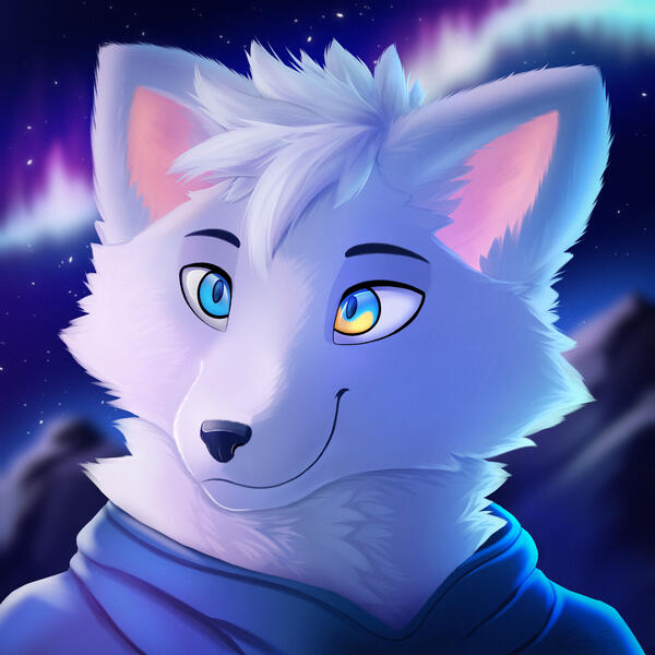 Snow Fox Snow Fox
